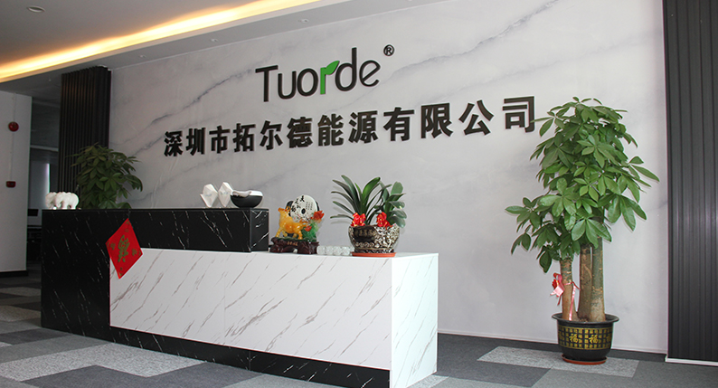 张国宝:关于氢燃料动力电池的研发应用不能知难而退