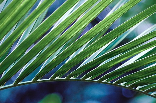 简易的氢氧燃料动力锂电池制作