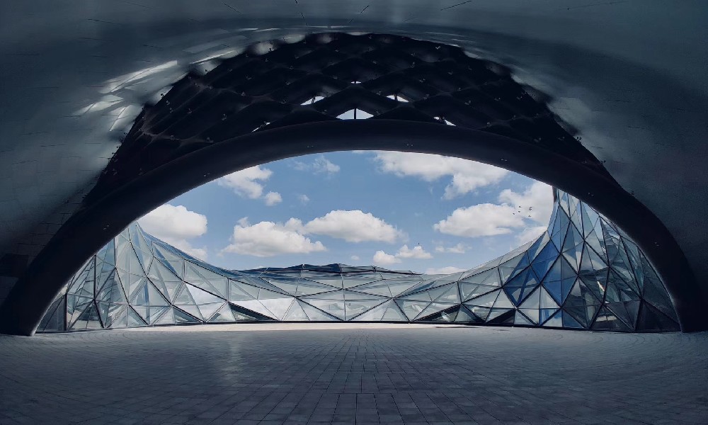 受蝴蝶翅膀启发 科学家开发吸光能力更强的太阳能电池板